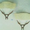 Felix Agostini Wall Sconces